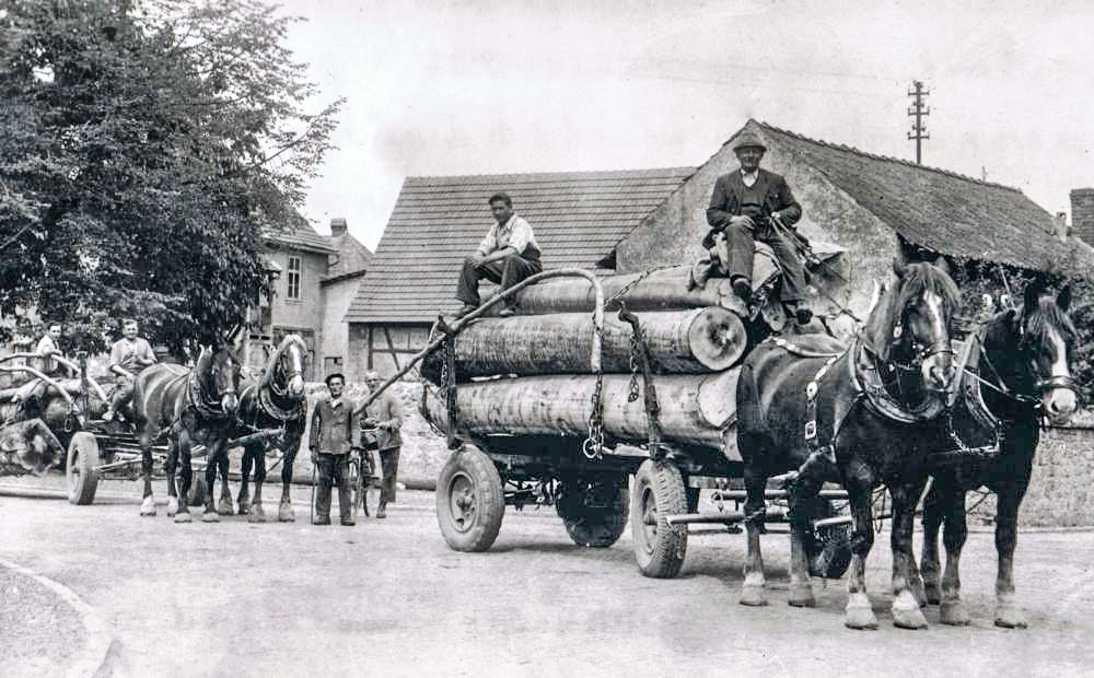 Holztransport nach Nordheim, Aufnahme vor dem Weimarischen Hof auf dem 1. Fuhr Gustav Deblich, dahinter ein russischer Gefangener